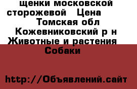 щенки московской сторожевой › Цена ­ 3 000 - Томская обл., Кожевниковский р-н Животные и растения » Собаки   